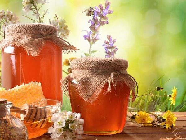 قیمت عسل چهل گیاه بهاره + خرید و فروش