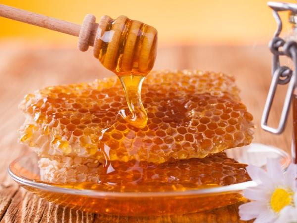خرید عسل گون درمانی