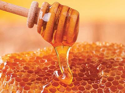 قیمت عسل کنار در استان بوشهر + خرید و فروش